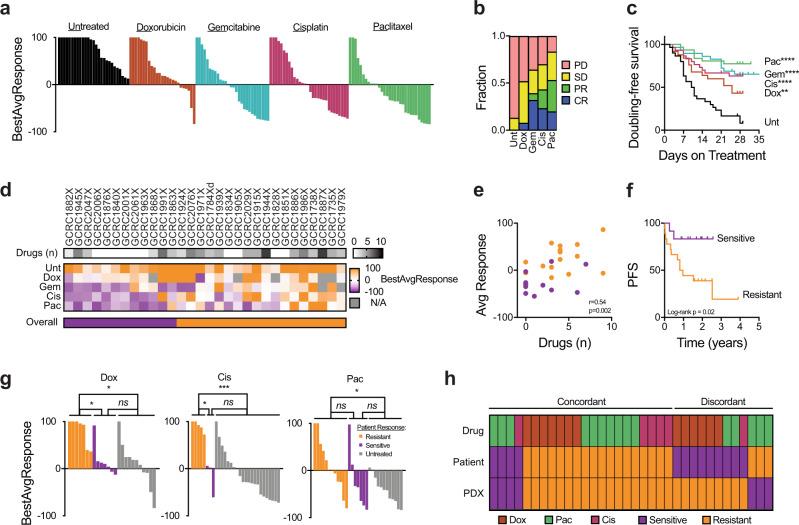 https://cdn.ncbi.nlm.nih.gov/pmc/blobs/9d19/7298048/d316554d77aa/42003_2020_1042_Fig5_HTML.jpg