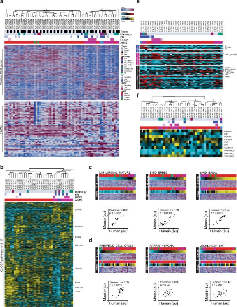 https://cdn.ncbi.nlm.nih.gov/pmc/blobs/9d19/7298048/d5cef19abe53/42003_2020_1042_Fig3_HTML.jpg