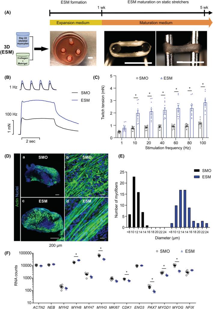 https://cdn.ncbi.nlm.nih.gov/pmc/blobs/9d19/9745484/0459b7bcfc4b/JCSM-13-3106-g006.jpg