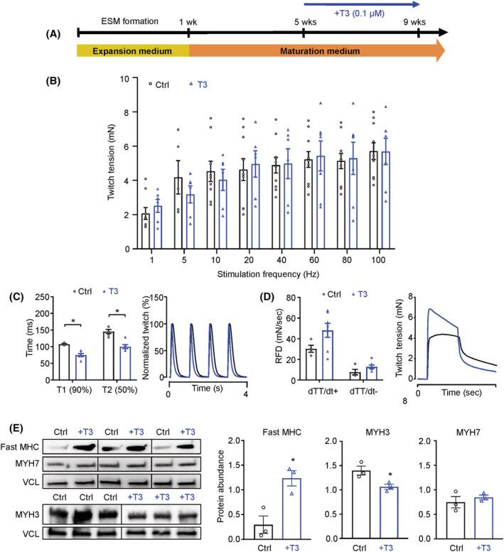 https://cdn.ncbi.nlm.nih.gov/pmc/blobs/9d19/9745484/046e424bf9fb/JCSM-13-3106-g003.jpg