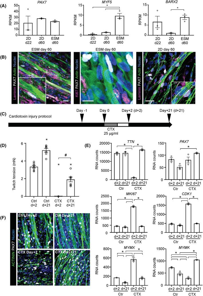 https://cdn.ncbi.nlm.nih.gov/pmc/blobs/9d19/9745484/5b24a74a5f2e/JCSM-13-3106-g002.jpg