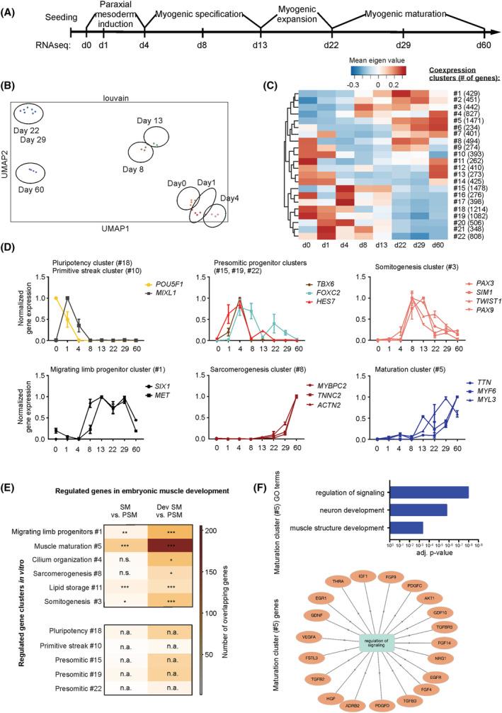 https://cdn.ncbi.nlm.nih.gov/pmc/blobs/9d19/9745484/fda7cf870b21/JCSM-13-3106-g005.jpg