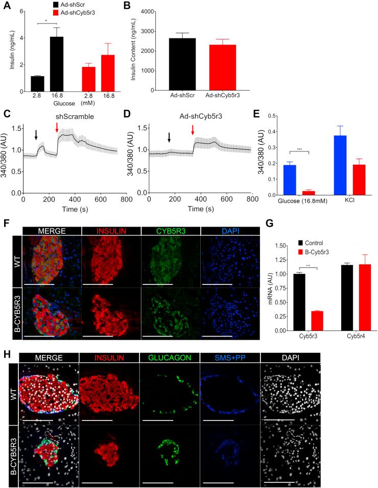 https://cdn.ncbi.nlm.nih.gov/pmc/blobs/9d1a/7031142/beb6975f32a4/gr3.jpg