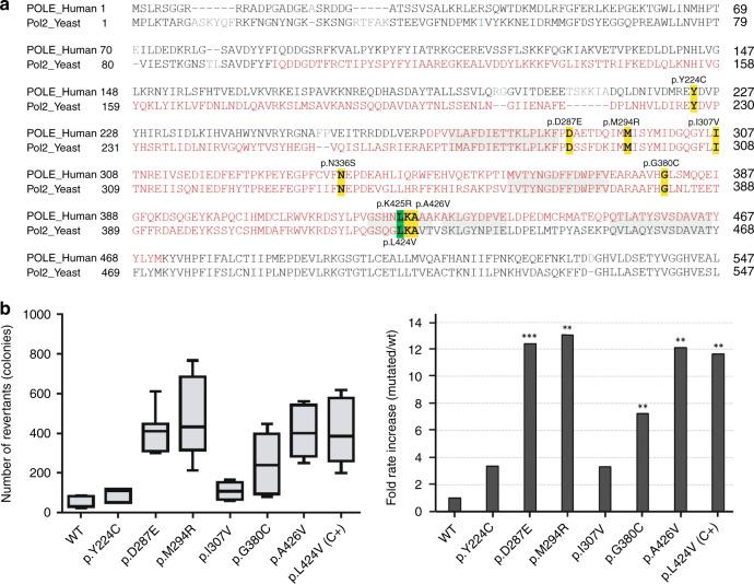 https://cdn.ncbi.nlm.nih.gov/pmc/blobs/9d1a/7708298/5f702d5b6180/41436_2020_922_Fig2_HTML.jpg
