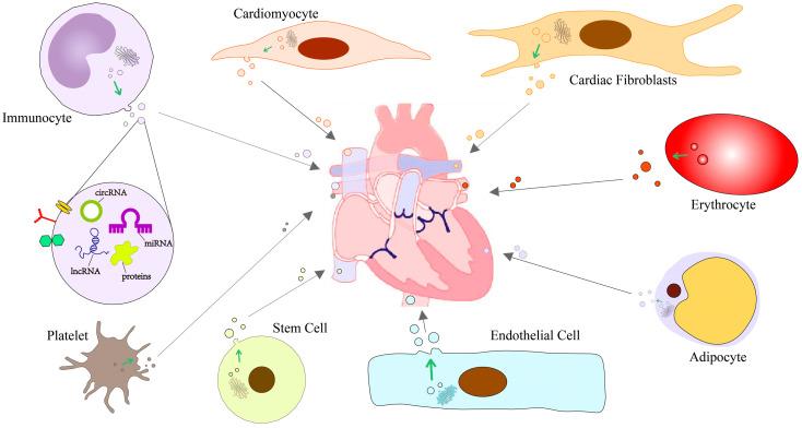 https://cdn.ncbi.nlm.nih.gov/pmc/blobs/9d1e/10671547/74f63a106d35/ijms-24-16197-g002.jpg