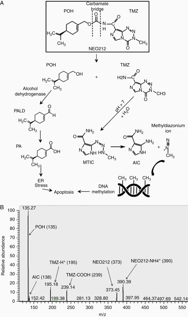 https://cdn.ncbi.nlm.nih.gov/pmc/blobs/9d1e/7764505/bb3b2da28bdc/vdaa160_fig1.jpg