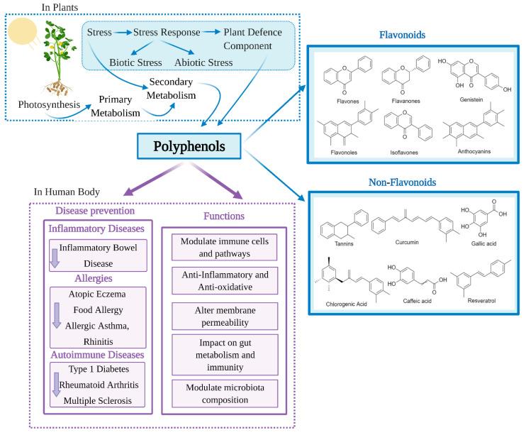 https://cdn.ncbi.nlm.nih.gov/pmc/blobs/9d22/7996139/772a1ed27ccd/nutrients-13-00728-g001.jpg
