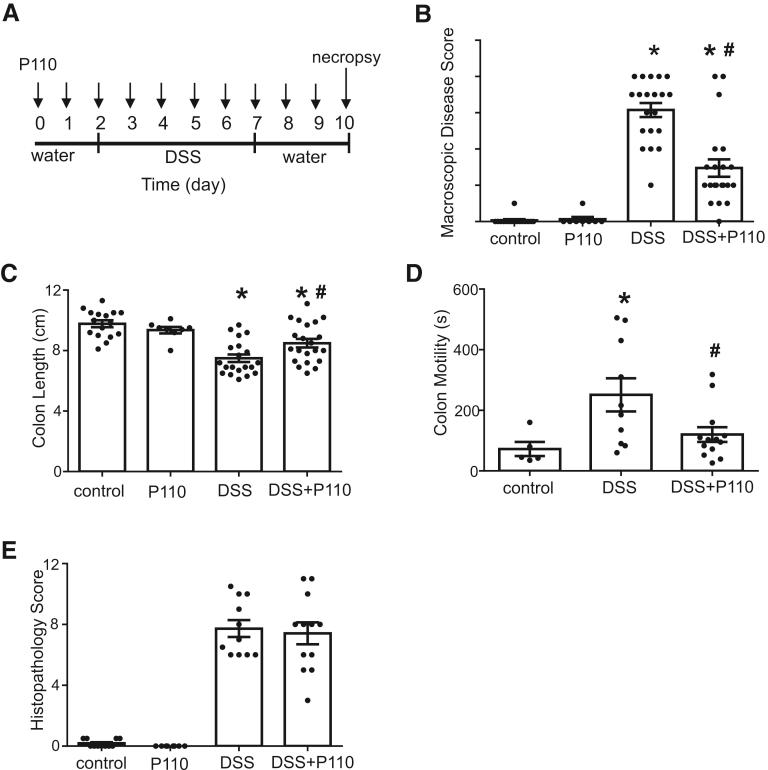 https://cdn.ncbi.nlm.nih.gov/pmc/blobs/9d24/7327843/8584b6e1c634/gr2.jpg