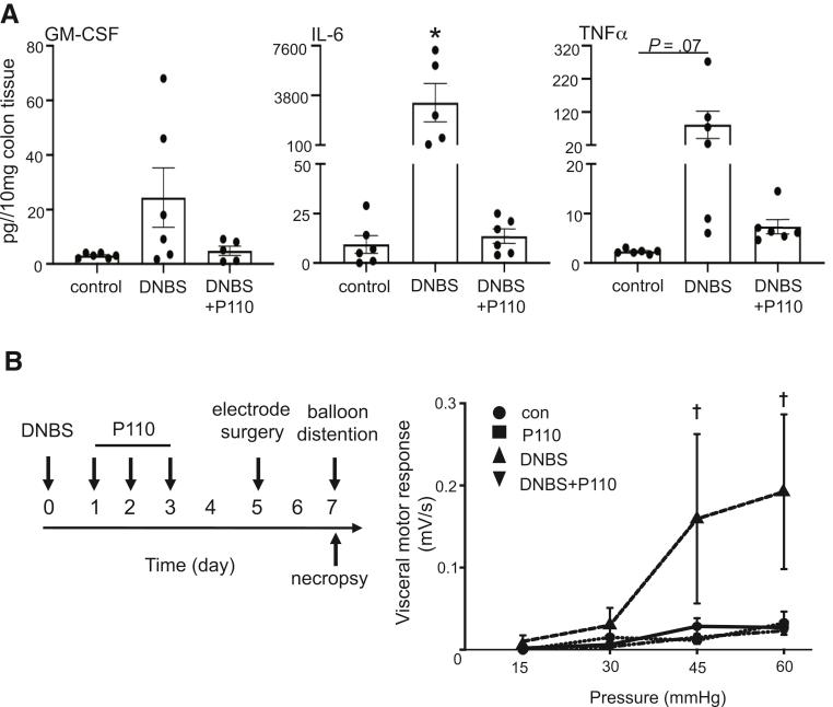 https://cdn.ncbi.nlm.nih.gov/pmc/blobs/9d24/7327843/b8559b7ea3e7/gr7.jpg