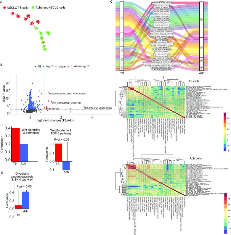 https://cdn.ncbi.nlm.nih.gov/pmc/blobs/9d24/7897496/12f8530dfa62/gkaa1138fig5.jpg