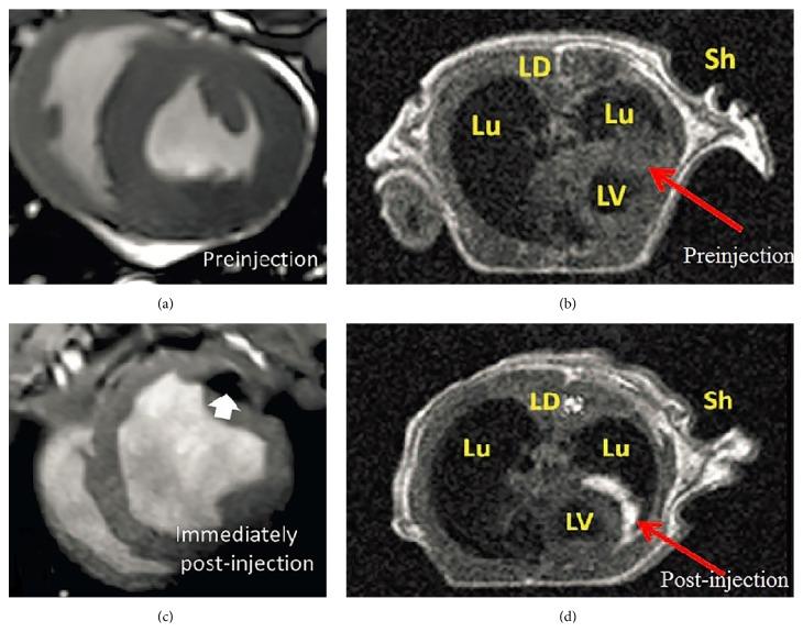 https://cdn.ncbi.nlm.nih.gov/pmc/blobs/9d27/4736428/f7b418581b98/SCI2016-9240652.004.jpg
