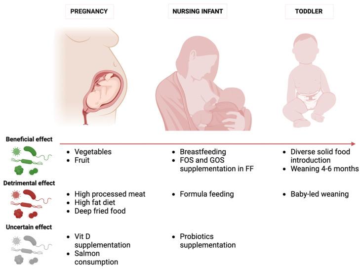 https://cdn.ncbi.nlm.nih.gov/pmc/blobs/9d29/10857663/d8262b645c7f/nutrients-16-00400-g002.jpg