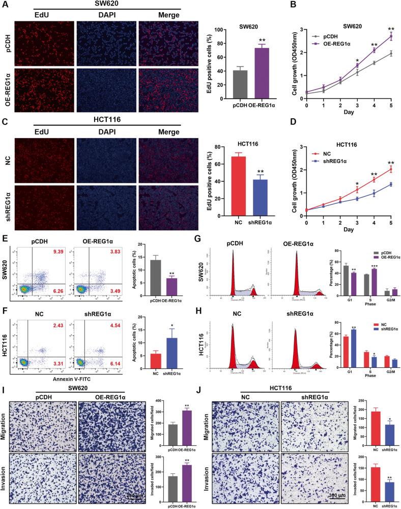 https://cdn.ncbi.nlm.nih.gov/pmc/blobs/9d2a/10457312/0252c89dd3da/41419_2023_6067_Fig2_HTML.jpg