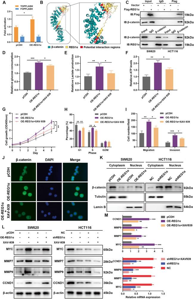 https://cdn.ncbi.nlm.nih.gov/pmc/blobs/9d2a/10457312/1ec9d6b41379/41419_2023_6067_Fig5_HTML.jpg