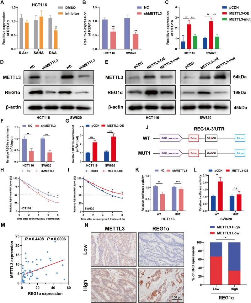 https://cdn.ncbi.nlm.nih.gov/pmc/blobs/9d2a/10457312/2c71717882d1/41419_2023_6067_Fig6_HTML.jpg