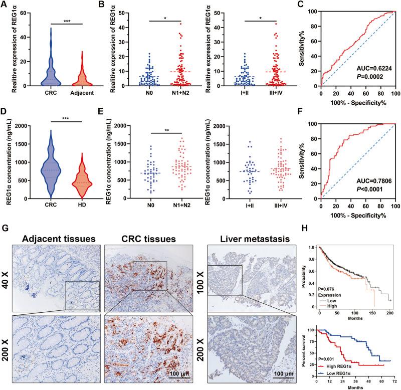 https://cdn.ncbi.nlm.nih.gov/pmc/blobs/9d2a/10457312/ac39358d052c/41419_2023_6067_Fig1_HTML.jpg