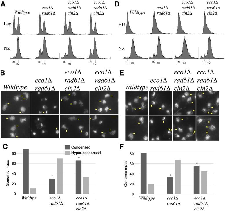https://cdn.ncbi.nlm.nih.gov/pmc/blobs/9d2d/9339302/e09f150f1704/jkac157f6.jpg