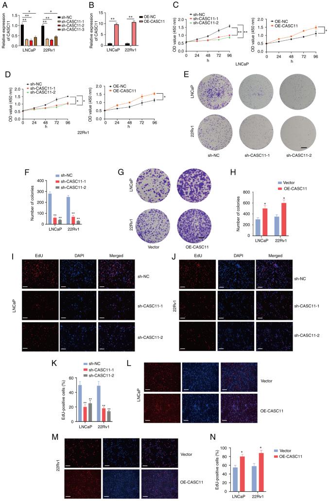 https://cdn.ncbi.nlm.nih.gov/pmc/blobs/9d2d/9374466/2d3273ff2c83/IJO-61-3-05400-g01.jpg