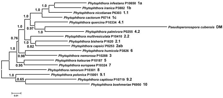https://cdn.ncbi.nlm.nih.gov/pmc/blobs/9d2e/3359814/9e444426e56a/ima-2-163-s001.jpg