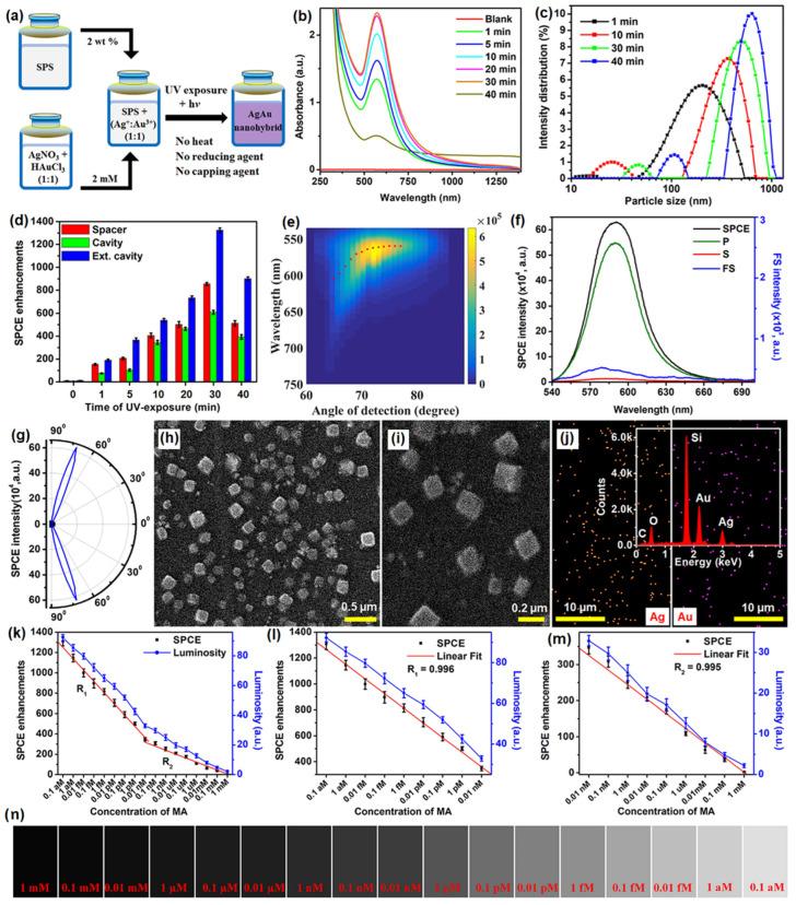 https://cdn.ncbi.nlm.nih.gov/pmc/blobs/9d2f/10780701/90c5d9343742/nanomaterials-14-00111-g009.jpg