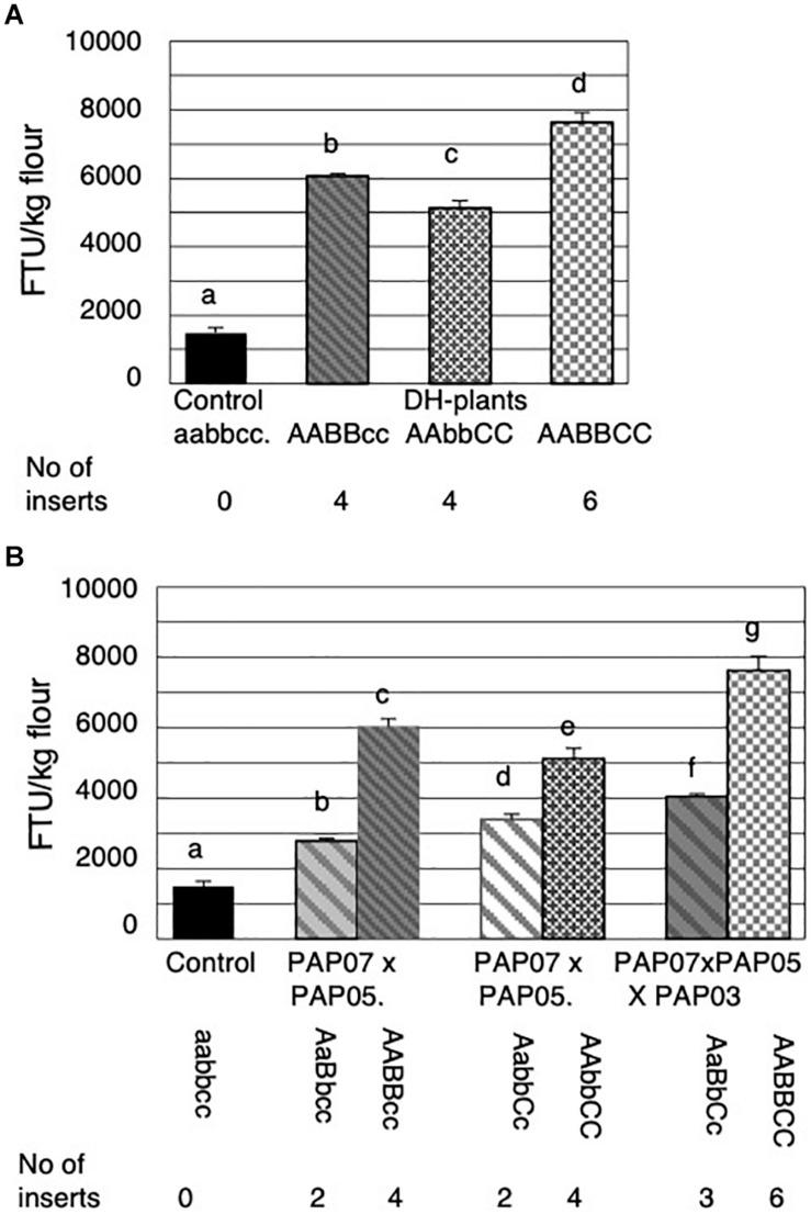 https://cdn.ncbi.nlm.nih.gov/pmc/blobs/9d30/7644513/61f1d7f4a09a/fpls-11-592139-g006.jpg
