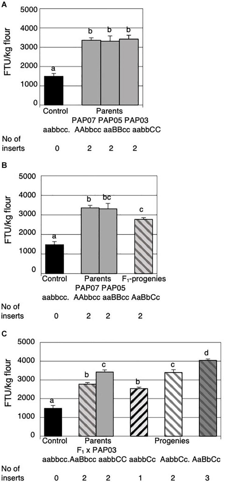 https://cdn.ncbi.nlm.nih.gov/pmc/blobs/9d30/7644513/c6e0da7d78ce/fpls-11-592139-g004.jpg