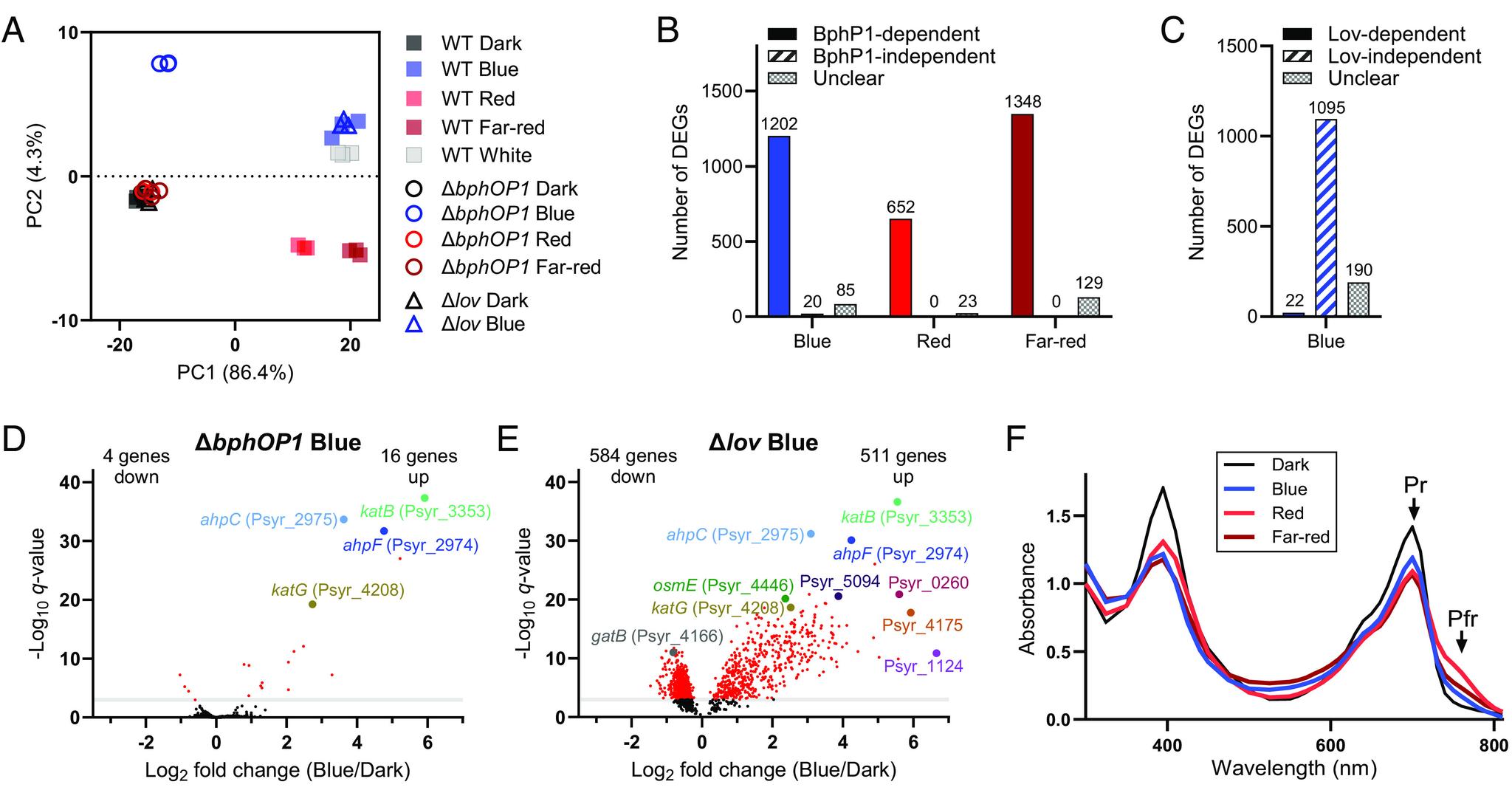 https://cdn.ncbi.nlm.nih.gov/pmc/blobs/9d31/10515139/fcf6d2f5cee0/pnas.2309632120fig02.jpg