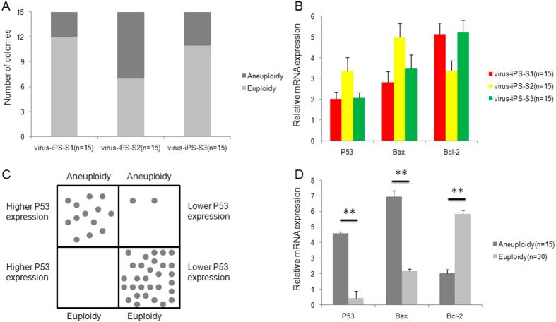 https://cdn.ncbi.nlm.nih.gov/pmc/blobs/9d33/4428033/b9ff458867e6/srep10114-f8.jpg