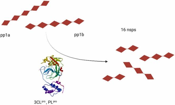 https://cdn.ncbi.nlm.nih.gov/pmc/blobs/9d33/9289048/9f9e1526d6fb/gr9_lrg.jpg