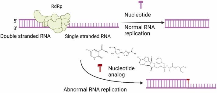 https://cdn.ncbi.nlm.nih.gov/pmc/blobs/9d33/9289048/d28c4fa28529/gr11_lrg.jpg