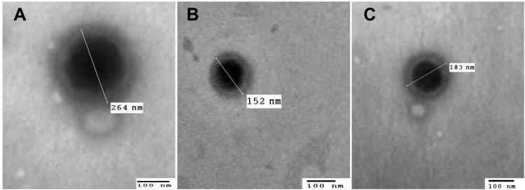 https://cdn.ncbi.nlm.nih.gov/pmc/blobs/9d34/7585553/6078c43b1471/IJN-15-7995-g0005.jpg