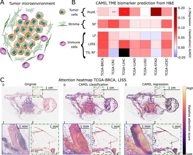 https://cdn.ncbi.nlm.nih.gov/pmc/blobs/9d35/10858881/0ccd9700a381/41467_2024_45589_Fig3_HTML.jpg