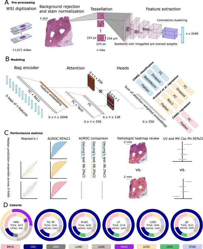 https://cdn.ncbi.nlm.nih.gov/pmc/blobs/9d35/10858881/9eb862c13430/41467_2024_45589_Fig1_HTML.jpg