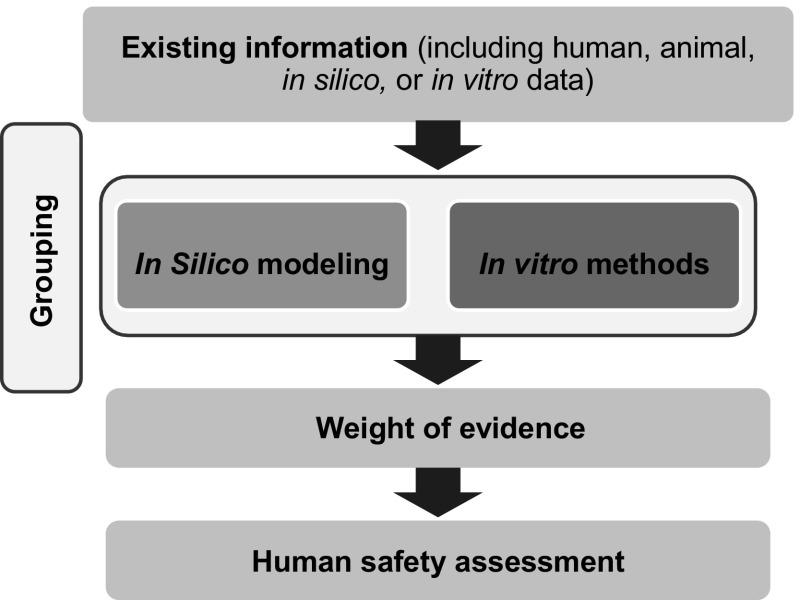 https://cdn.ncbi.nlm.nih.gov/pmc/blobs/9d38/4894935/b85fa62d8b1f/204_2016_1717_Fig1_HTML.jpg