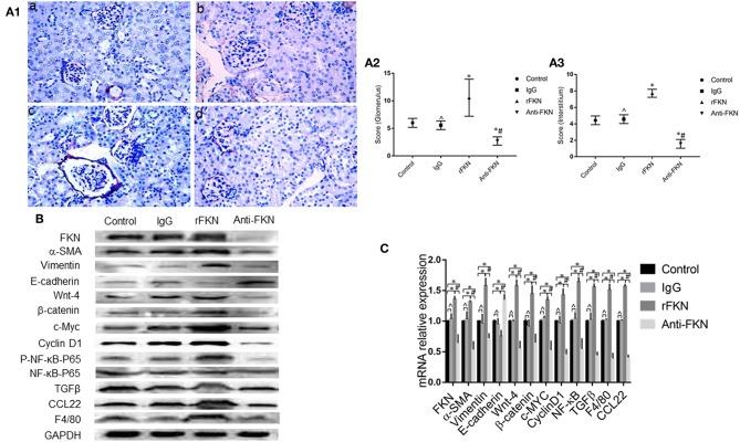 https://cdn.ncbi.nlm.nih.gov/pmc/blobs/9d38/6524725/604949a90080/fimmu-10-00784-g0006.jpg
