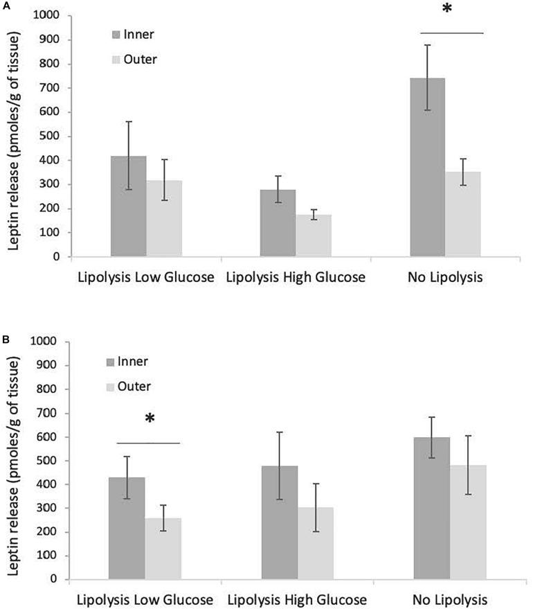 https://cdn.ncbi.nlm.nih.gov/pmc/blobs/9d39/7758477/68cd64bf4698/fphys-11-615784-g007.jpg