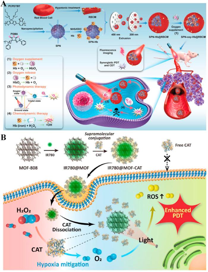 https://cdn.ncbi.nlm.nih.gov/pmc/blobs/9d3a/11847112/4ad3a2e5a98b/gr13.jpg