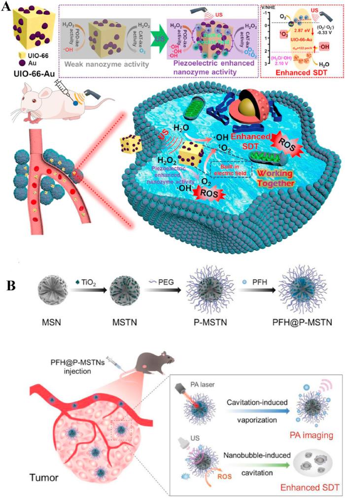 https://cdn.ncbi.nlm.nih.gov/pmc/blobs/9d3a/11847112/90e4706a86b8/gr8.jpg