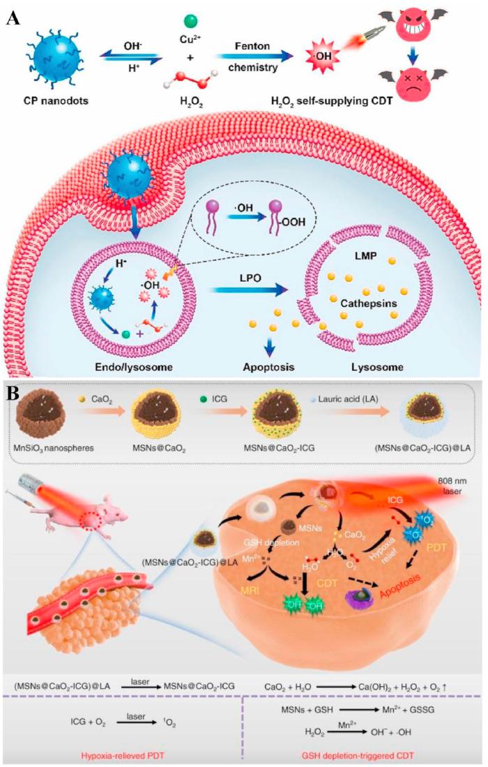 https://cdn.ncbi.nlm.nih.gov/pmc/blobs/9d3a/11847112/9a6186a73ebe/gr17.jpg