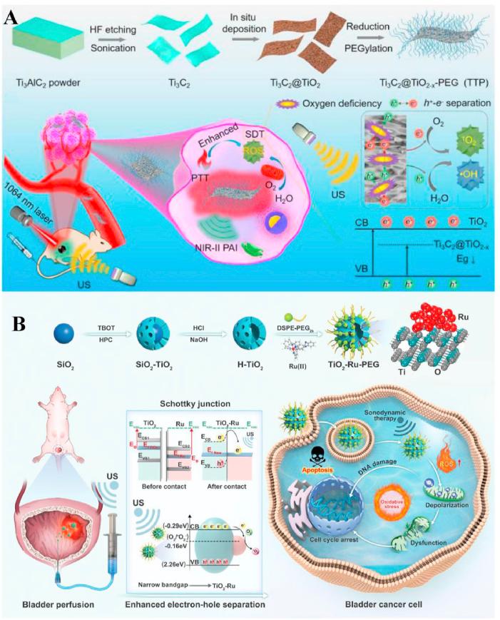 https://cdn.ncbi.nlm.nih.gov/pmc/blobs/9d3a/11847112/cb7cf6ef4c19/gr7.jpg