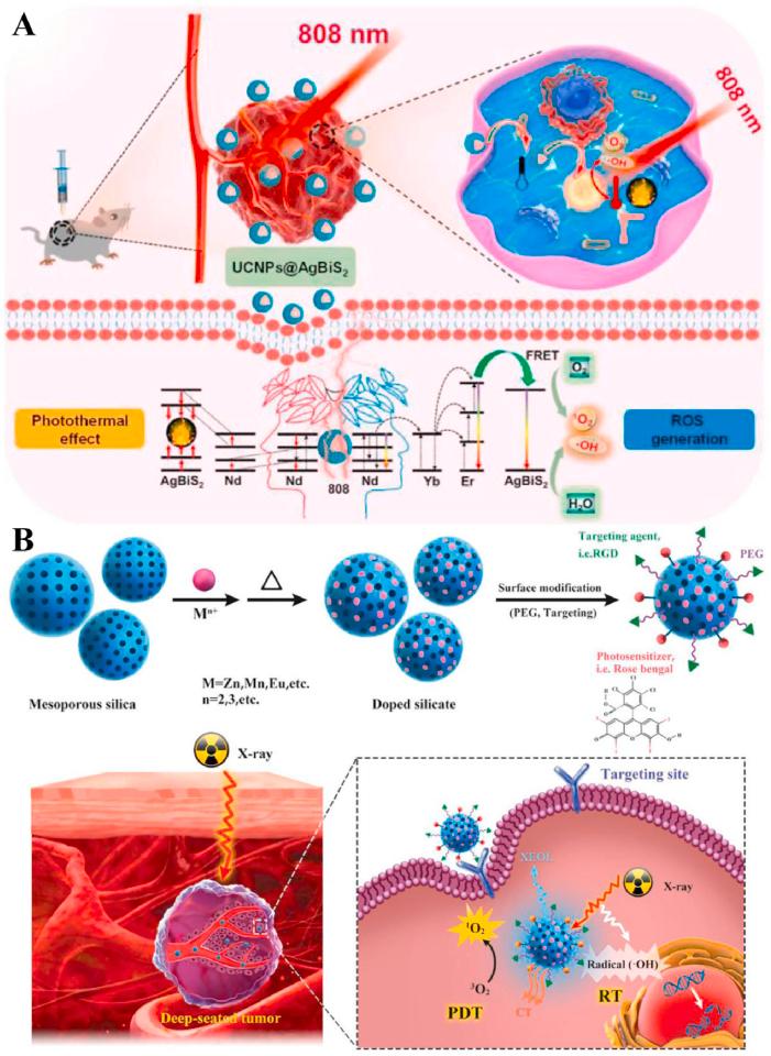 https://cdn.ncbi.nlm.nih.gov/pmc/blobs/9d3a/11847112/d1d5b25fba30/gr5.jpg