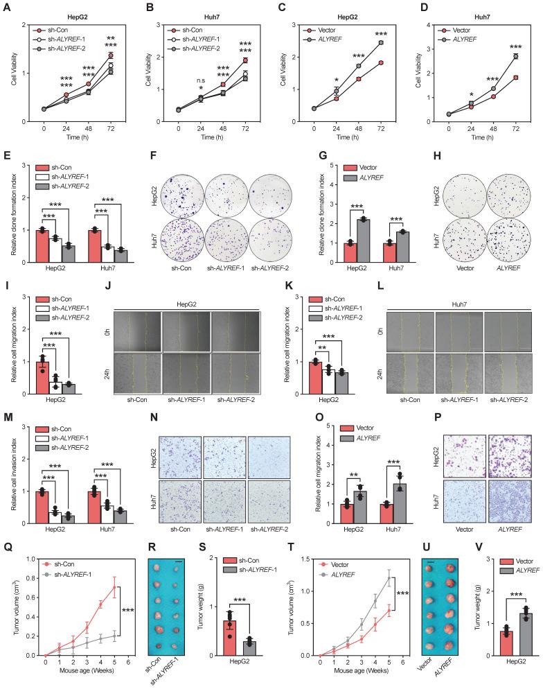 https://cdn.ncbi.nlm.nih.gov/pmc/blobs/9d3b/10750289/249c1034abc7/ijbsv20p0331g003.jpg