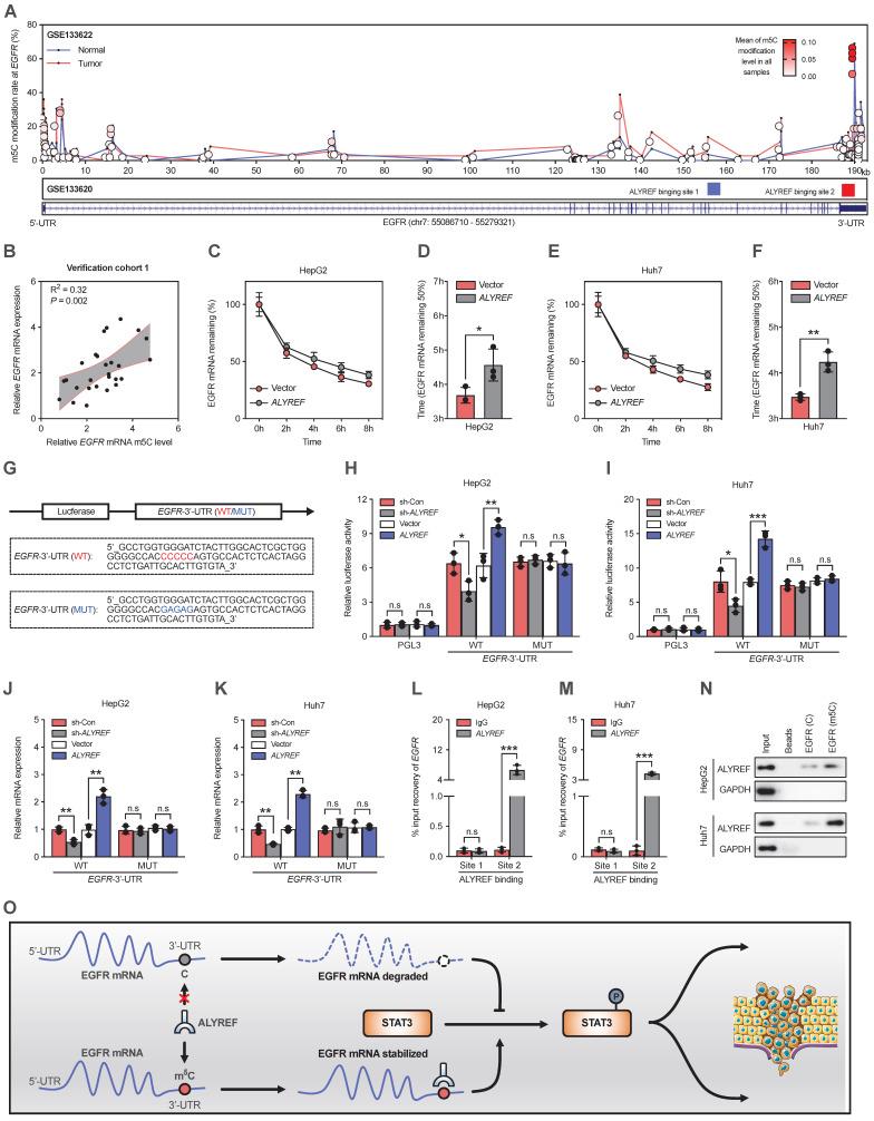 https://cdn.ncbi.nlm.nih.gov/pmc/blobs/9d3b/10750289/311ae6377259/ijbsv20p0331g007.jpg