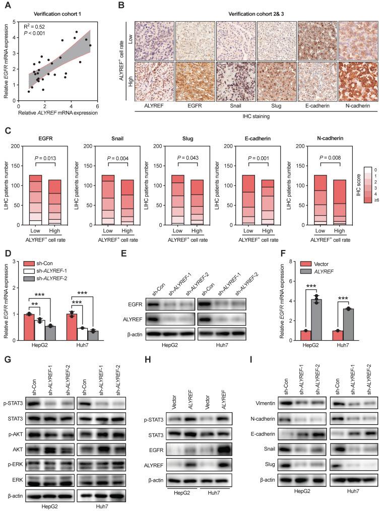 https://cdn.ncbi.nlm.nih.gov/pmc/blobs/9d3b/10750289/313c006378b0/ijbsv20p0331g005.jpg
