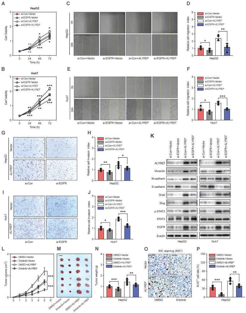 https://cdn.ncbi.nlm.nih.gov/pmc/blobs/9d3b/10750289/37f9aa22b1e6/ijbsv20p0331g006.jpg