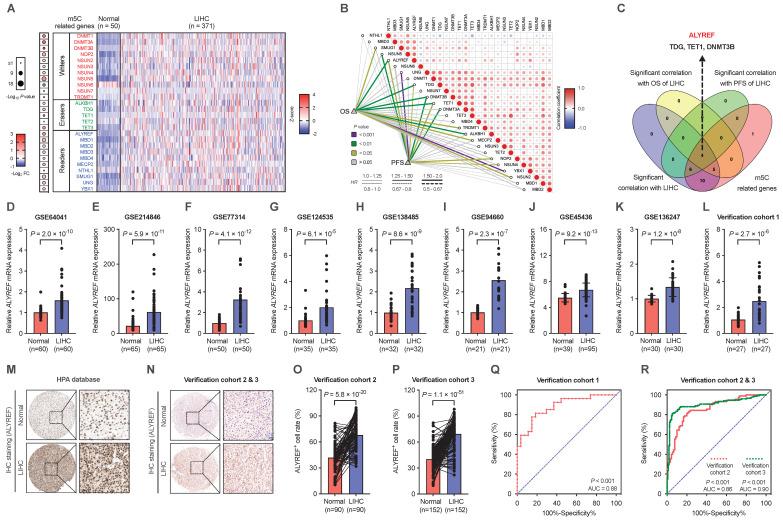https://cdn.ncbi.nlm.nih.gov/pmc/blobs/9d3b/10750289/8a1f96ce2c3f/ijbsv20p0331g001.jpg