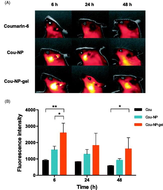 https://cdn.ncbi.nlm.nih.gov/pmc/blobs/9d3c/8530482/5d931f16efac/IDRD_A_1992041_F0005_C.jpg
