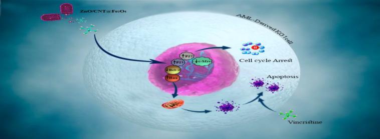 https://cdn.ncbi.nlm.nih.gov/pmc/blobs/9d3c/9831873/0fea32a461bb/IJHOSCR-16-140-g006.jpg
