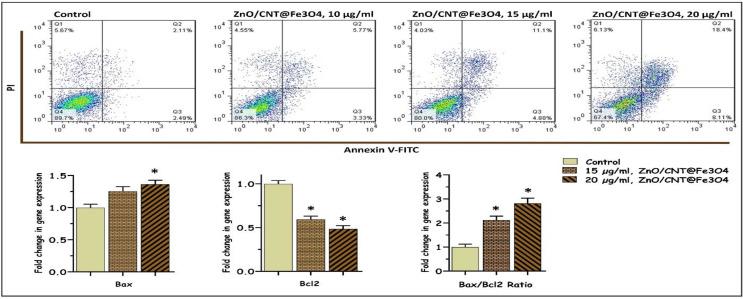 https://cdn.ncbi.nlm.nih.gov/pmc/blobs/9d3c/9831873/b7a83f61f65c/IJHOSCR-16-140-g003.jpg