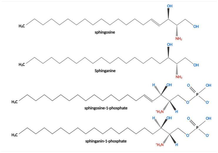 https://cdn.ncbi.nlm.nih.gov/pmc/blobs/9d3d/8954241/4fa4bfc5fe66/toxins-14-00182-g002.jpg
